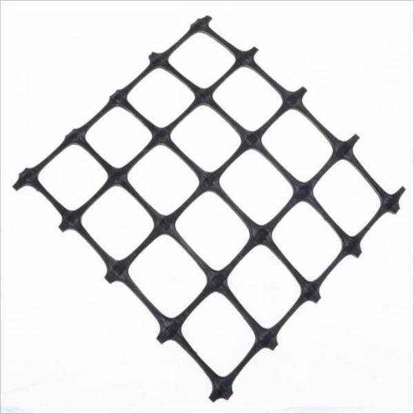 Plastic Geogrid (1)