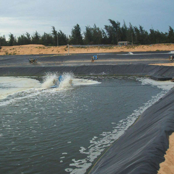 What is geomembrane used for